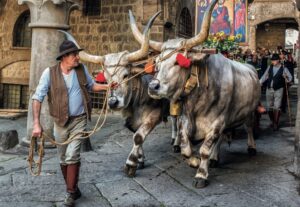 Viterbo – Torna la Festa del Santissimo Salvatore: oggi la tradizionale processione in centro storico