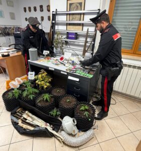 Cerveteri – Piantagione domestica di canapa con lampade ed attrezzature: trentatreenne ai domiciliari