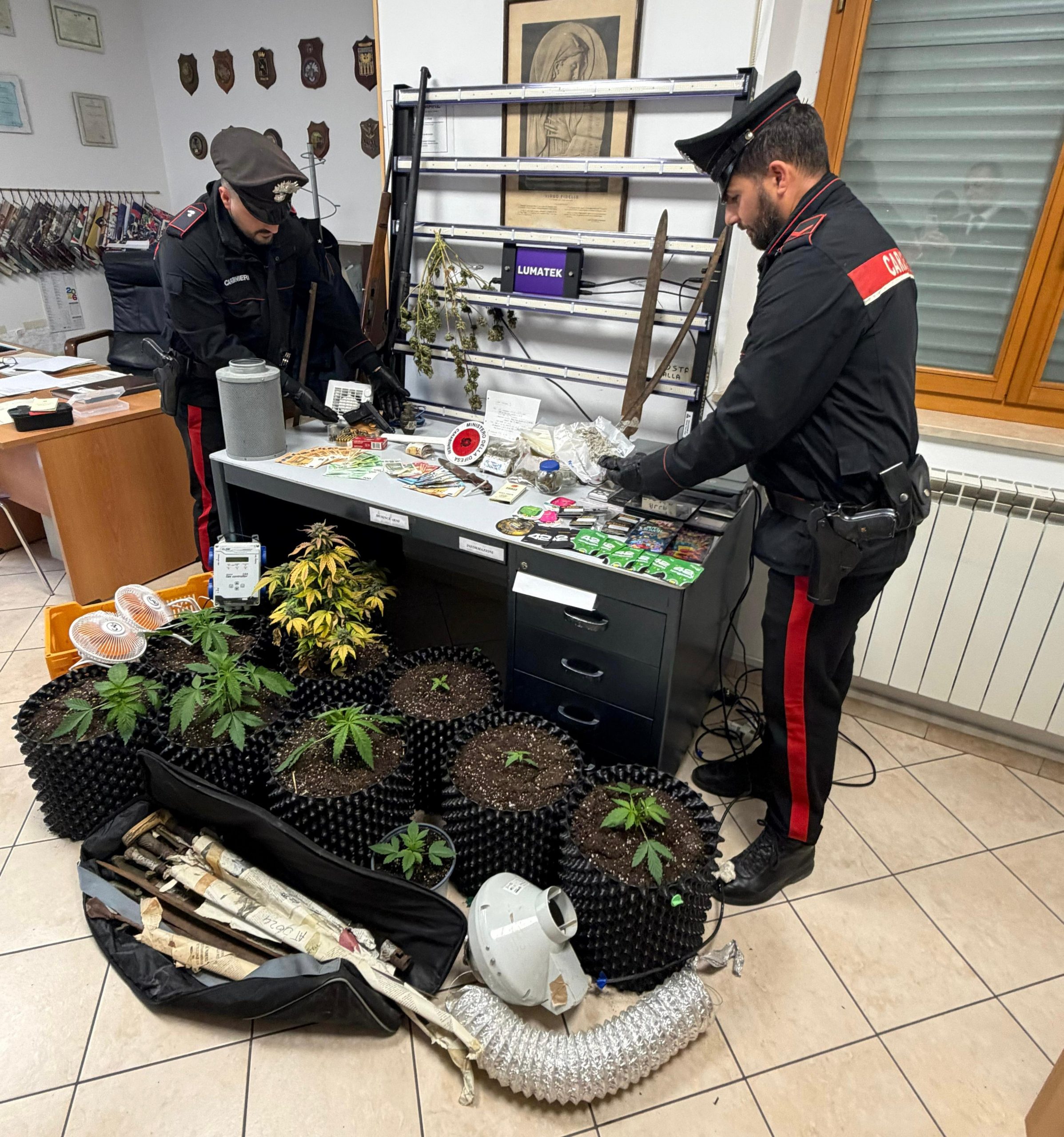 Cerveteri – Piantagione domestica di canapa con lampade ed attrezzature: trentatreenne ai domiciliari
