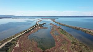 Zone umide a rischio, è allarme sulla biodiversità