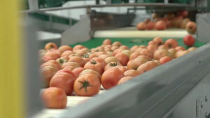 Agroalimentare, l’export traina il settore