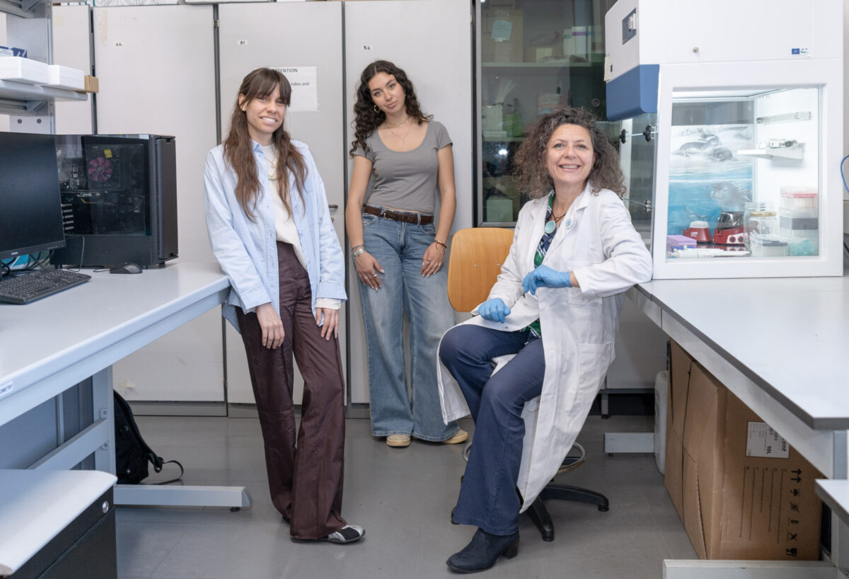Sulle tracce della foca monaca: il progetto di Milano Bicocca con il crowdfunding