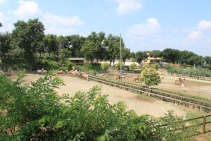 Il San Raffaele Viterbo celebra 40 anni di riabilitazione equestre