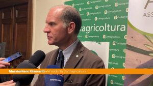 Giansanti “Per l’oliva da tavola una dimensione di mercato importante”