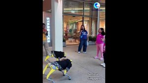 A Singapore cani robot cinesi intrattengono i turisti