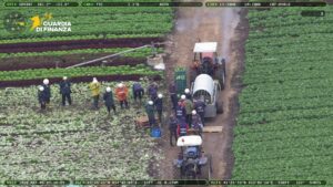 Latina – Controlli della Guardia di Finanza nelle aziende agricole: 93 lavoratori identificati, irregolarità e denunce