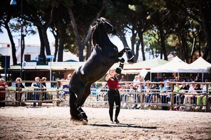 “Maremma d’aMare”, taglio del nastro a Montalto per la nona edizione della Fiera