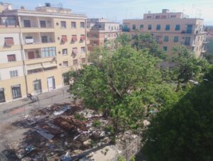Roma – Il Comune conferma l’abbattimento delle piante a Piazza Bologna, dopo la Lega anche il M5S si oppone