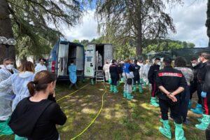 Maxi operazione nel canile abusivo di Ponzano Romano, liberati 240 Siberian Husky