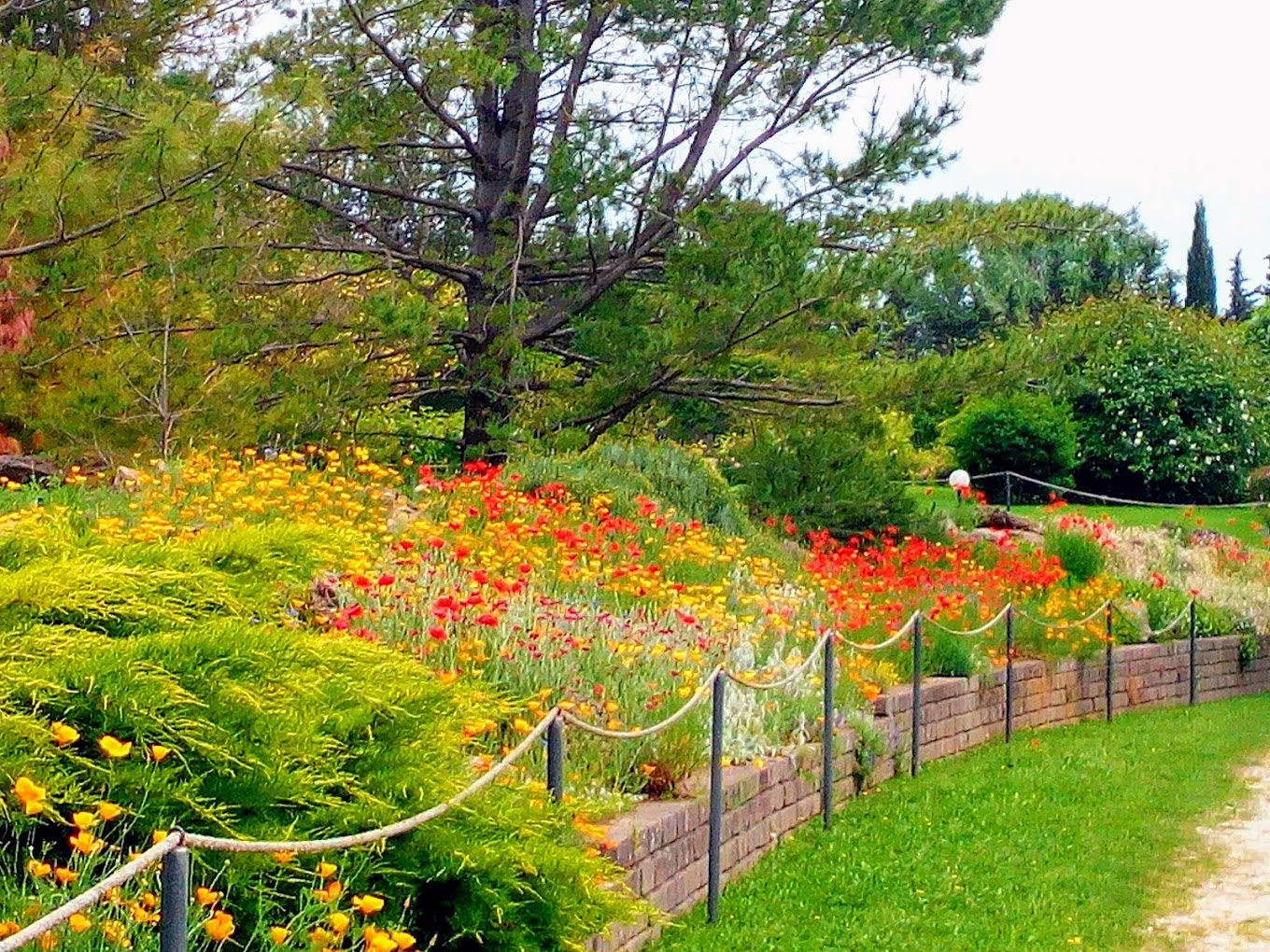 A maggio aperture straordinarie dell’Orto Botanico di domenica