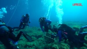 Proteggere e restaurare i coralli, il progetto per il Mediterraneo di Marevivo