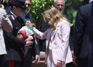 Italia-Corea, Meloni si fa foto con ‘Briciola’: cagnolina mascotte Carabinieri ‘star’ a Villa Pamphlij