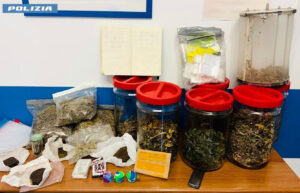 Roma – Dalle serre indoor al delivery della droga, 9 arresti della polizia