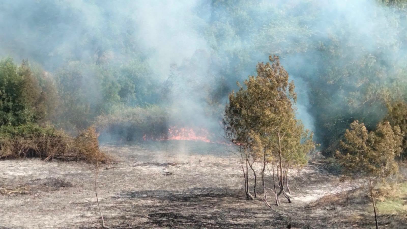 Grosso incendio tra Tuscania e Tarquinia, volontari e soccorritori al lavoro per domare le fiamme (FOTO)