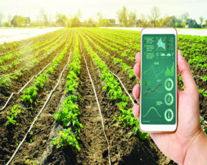Nanotecnologie e agricoltura sostenibile: una nuova opportunità per la Tuscia