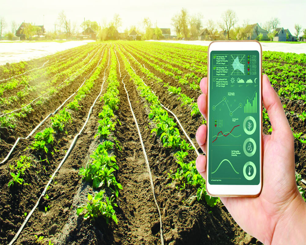Nanotecnologie e agricoltura sostenibile: una nuova opportunità per la Tuscia