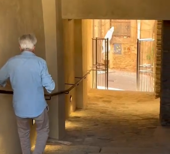 Viterbo – Riaperto lo storico passaggio tra Piazza del Comune e via del Ganfione: nuovo collegamento verso il Sacrario e Valle Faul
