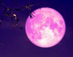 Arriva la Luna delle Fragole, il 29 giugno tutti con il naso all’insù