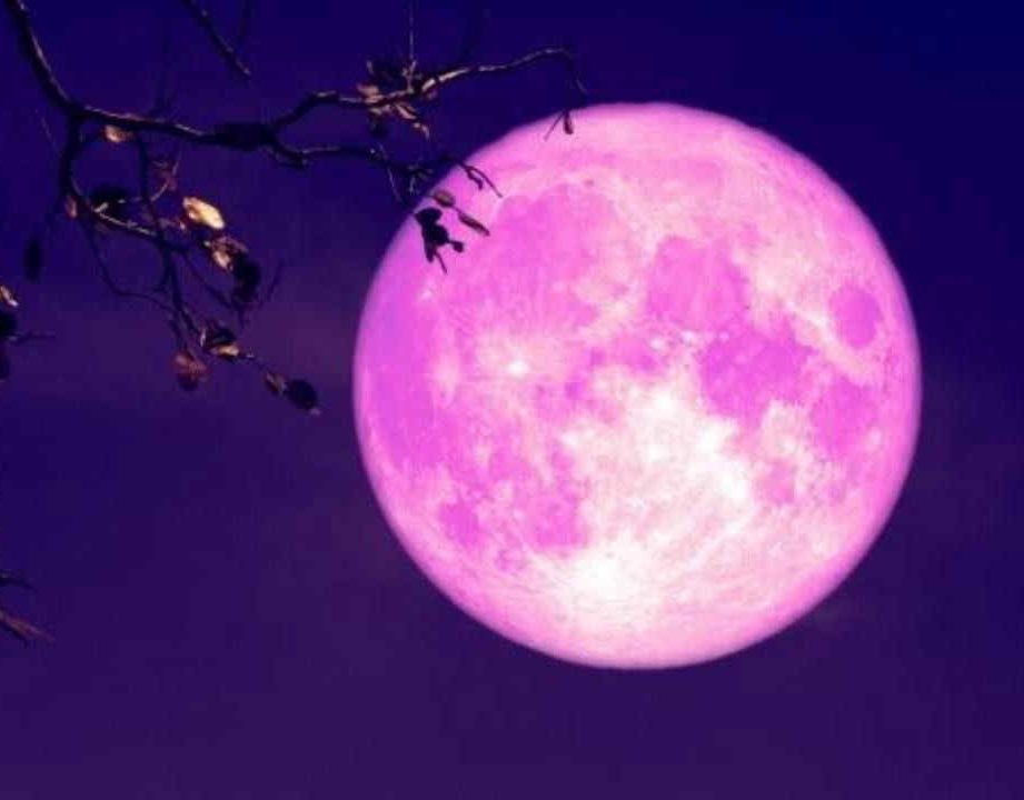 Arriva la Luna delle Fragole, il 29 giugno tutti con il naso all’insù