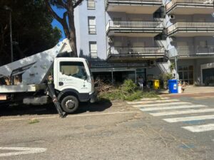 Tarquinia – Potature al Lido in piena ripresa vegetativa: perché aspettare l’estate?