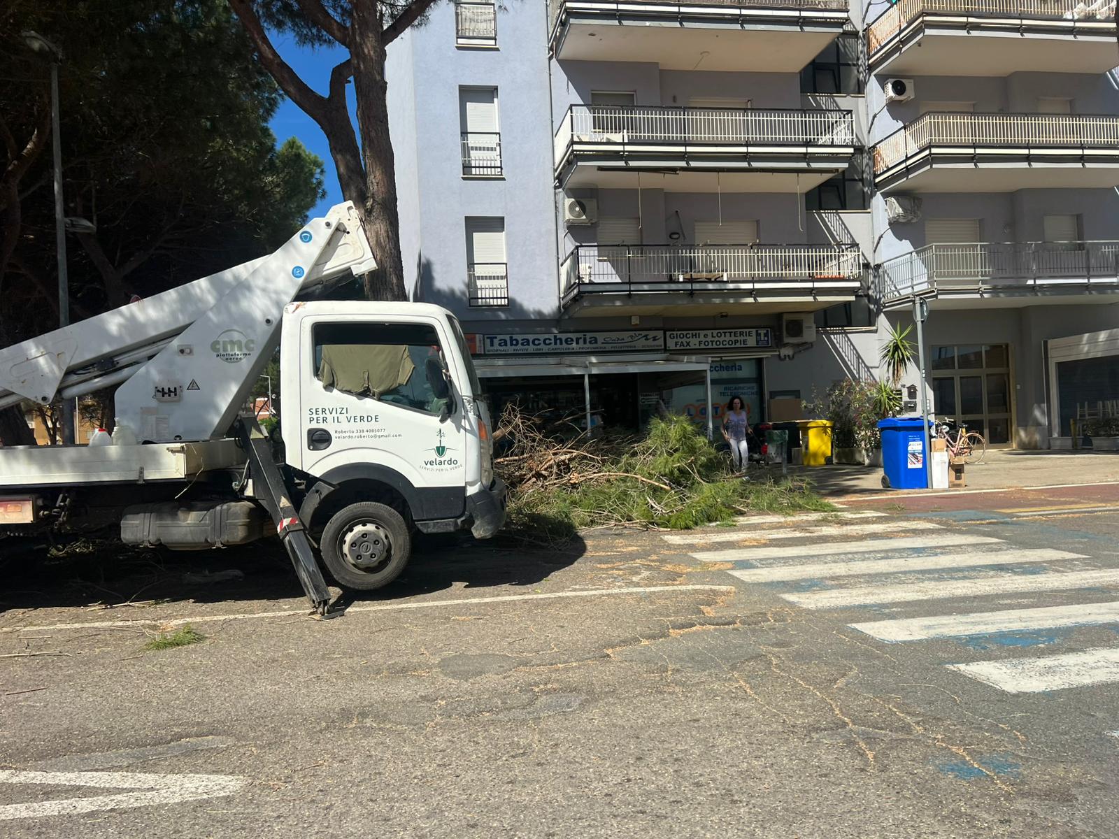 Tarquinia – Potature al Lido in piena ripresa vegetativa: perché aspettare l’estate?