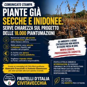 Civitavecchia – Fratelli d’Italia: “Piante già secche e inidonee. Serve chiarezza sul progetto delle 18.000 piantumazioni”