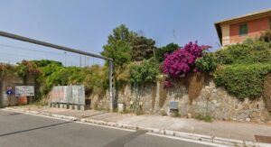 Civitavecchia – Braccianese Claudia, ennesimo animale investito: “È palese il mancato rispetto dei limiti di velocità”