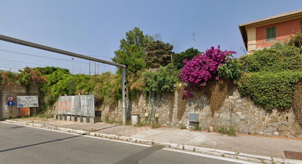 Civitavecchia – Braccianese Claudia, ennesimo animale investito: “È palese il mancato rispetto dei limiti di velocità”