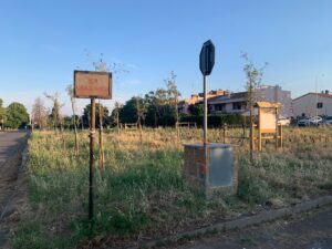 Viterbo – La “Tiny Forest” di via Cava di Gorga è di nuovo un cimitero di alberi: fallisce per la seconda volta il progetto di riforestazione (FOTO)