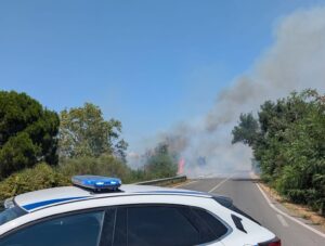 Montalto di Castro – Vasto incendio lungo strada della Marina, fiamme e ridosso delle case
