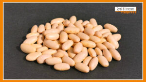 Sorsi di Benessere – Una crema leggera e gustosa