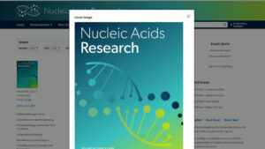 Rna, ecco come le cellule elaborano l’informazione