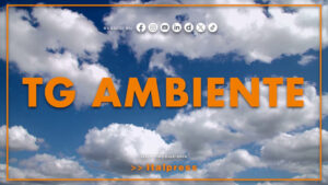Tg Ambiente – 28/6/2026