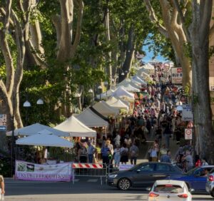 Bolsena – Boom di presenze per l’apertura della Festa delle Ortensie