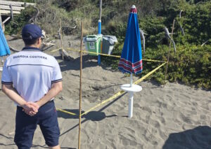 Montalto di Castro –  Il mare ha bussato alla spiaggia stanotte e ha lasciato centinaia di piccoli miracoli
