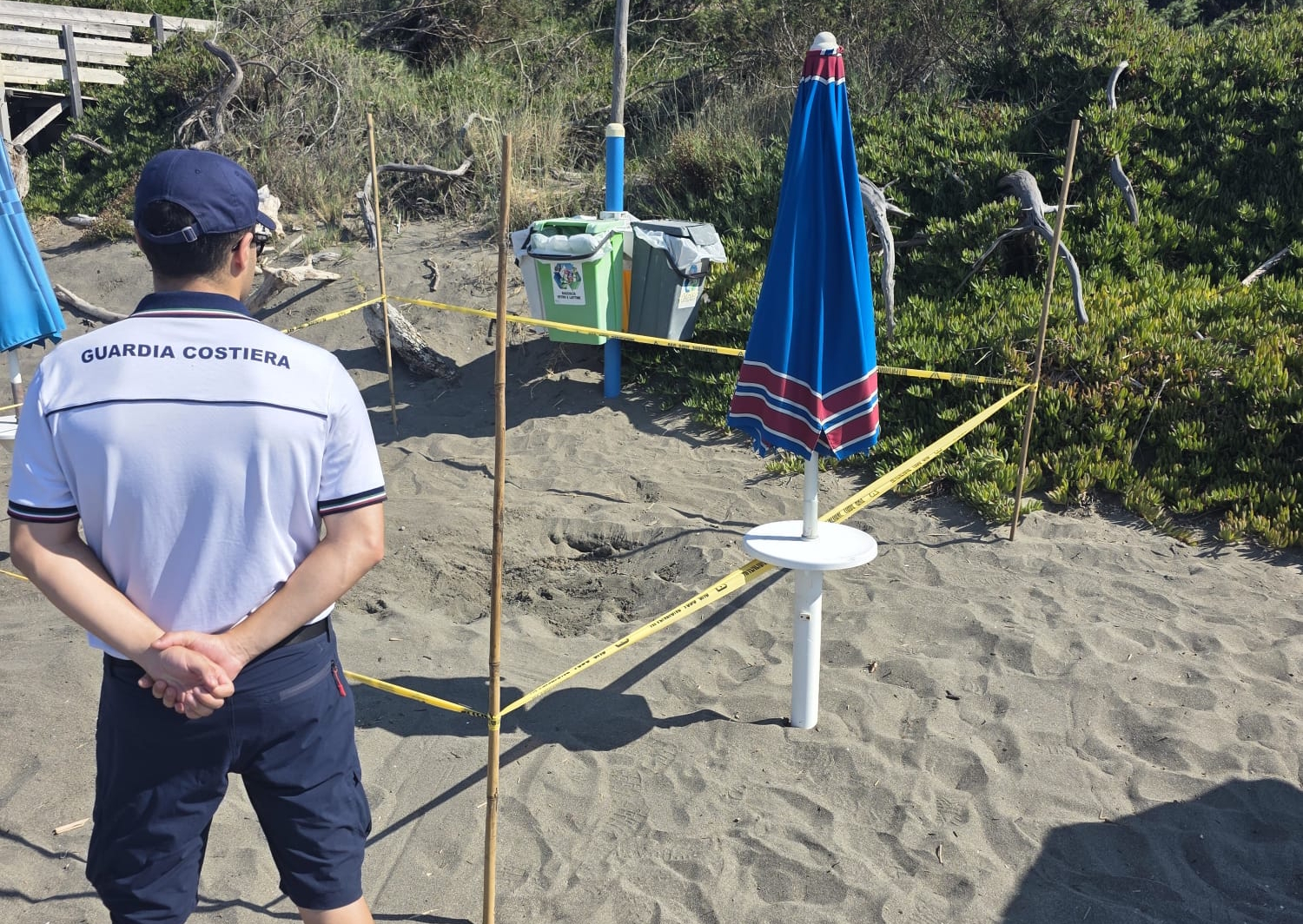 Montalto di Castro –  Il mare ha bussato alla spiaggia stanotte e ha lasciato centinaia di piccoli miracoli