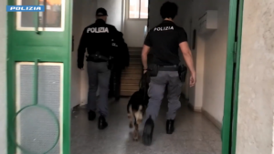 Viterbo – Operazione “Clean Garden”: dal Parco pubblico di via Cattaneo agli arresti (VIDEO)