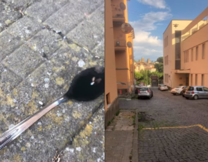 Viterbo   Allarme droga nel quartiere Sant’Agostino: «Crack ed eroina consumati in strada, vicino ai luoghi frequentati dai bambini»
