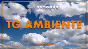 Tg Ambiente – 12/7/2026
