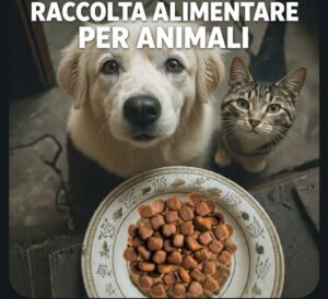 Montefiascone – Solidarietà a quattro zampe: torna la raccolta alimentare Enpa