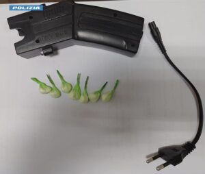 Cassino – Denunciato 21enne per porto abusivo di taser e possesso di stupefacente ai fini di spaccio