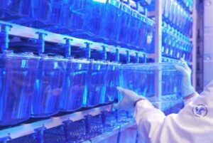 Scoperta una nuova malattia genetica del neurosviluppo