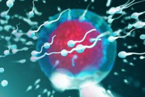 Fertilità, dove vive lui conta: regione di residenza e smog incidono su qualità sperma