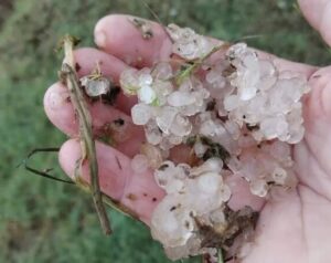 Soriano – Il Comune chiede lo stato di calamità naturale dopo la violenta grandinata: ecco l’iter per la segnalazione danni