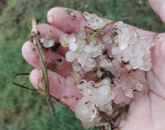 Soriano – Il Comune chiede lo stato di calamità naturale dopo la violenta grandinata: ecco l’iter per la segnalazione danni