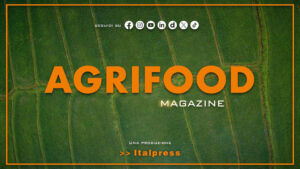 Agrifood Magazine – 29/7/2026