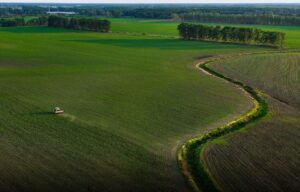 Portavoce Cina, pronti a facilitare commercio agricolo bilaterale con Usa