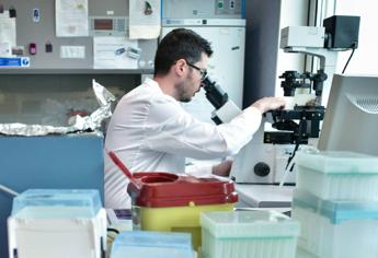 Ricerca, stretta Usa su studi ad alto rischio, stop fondi a test su virus potenziati