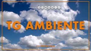 Tg Ambiente – 19/7/2026