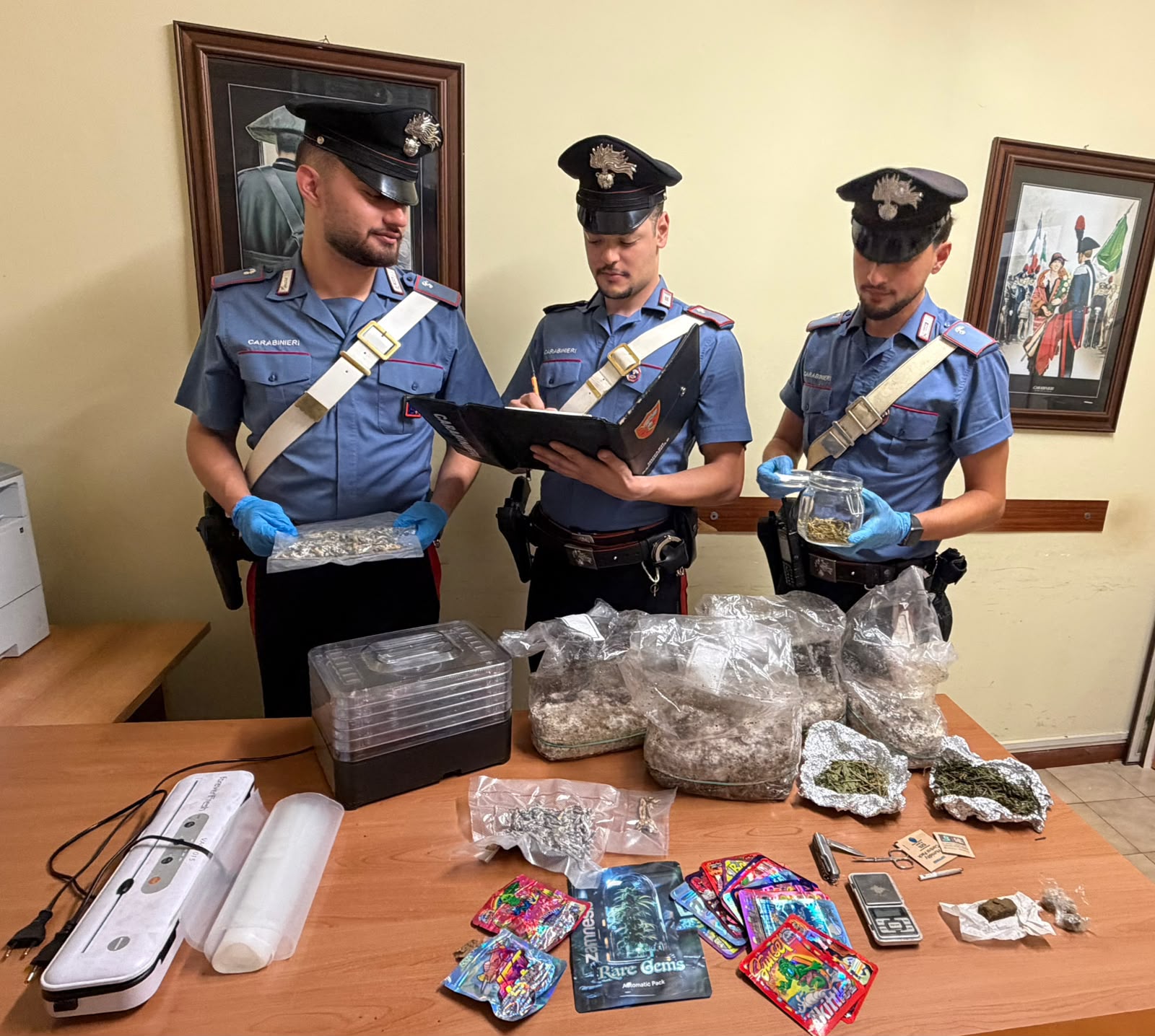 Subiaco – I carabinieri lo trovano a fumare uno spinello alla fermata del bus, lo perquisiscono e gli trovano addosso quasi un etto di funghi allucinogeni